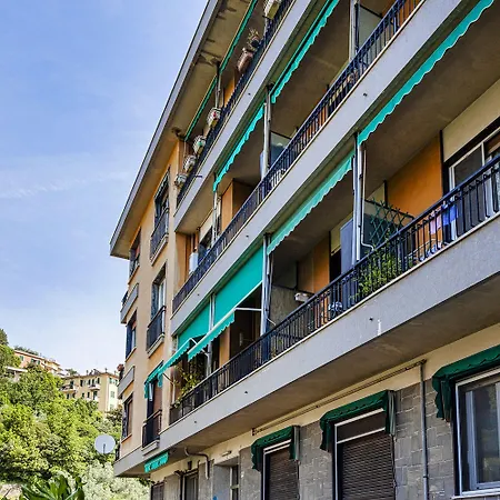 Bright Shelley By Wonderful Italy * Genoa